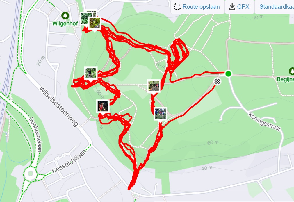 strava link