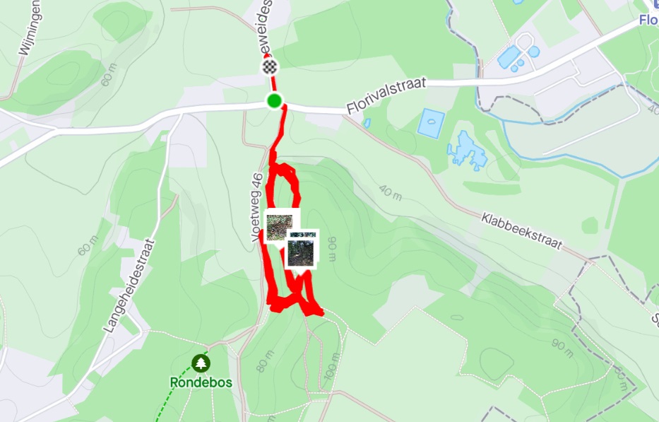strava link