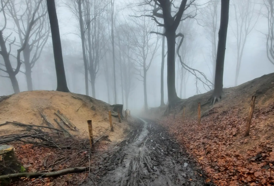 strava link