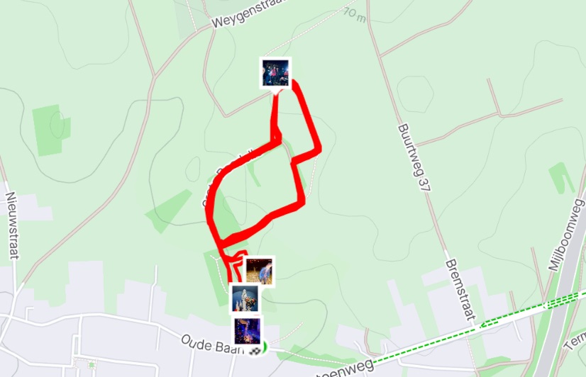 strava link