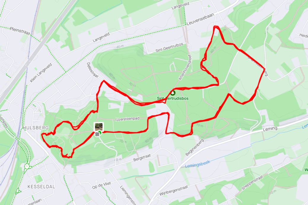 strava link
