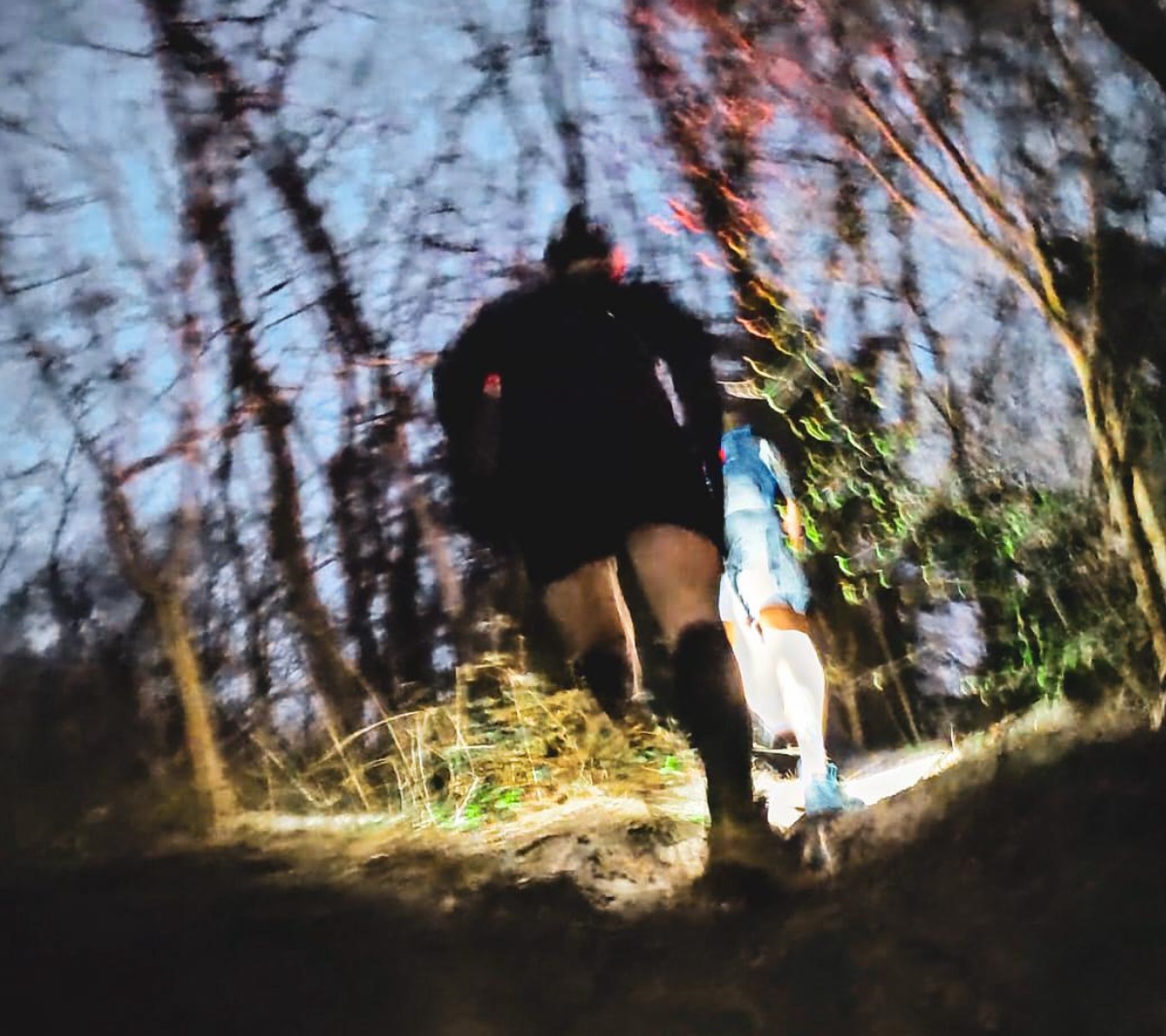 strava link
