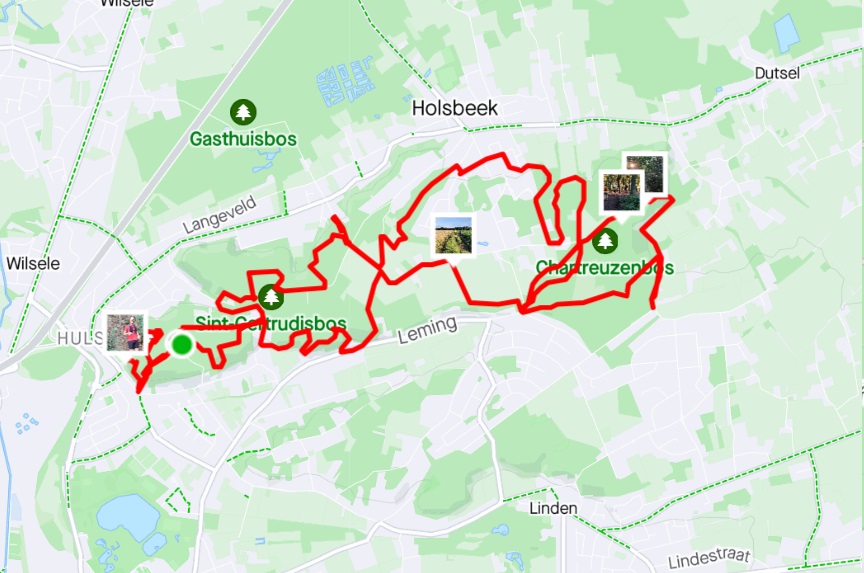 strava link