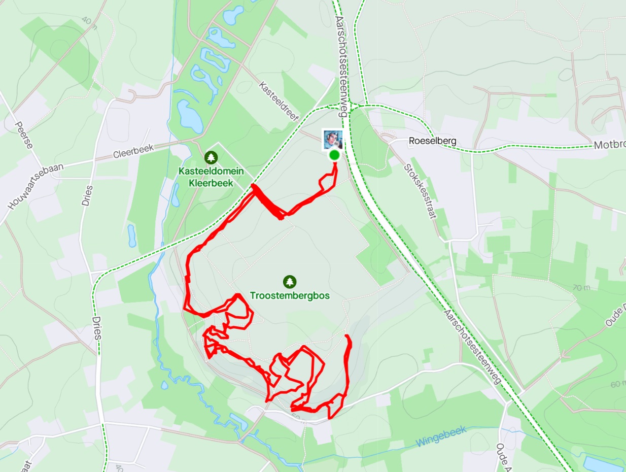 strava link