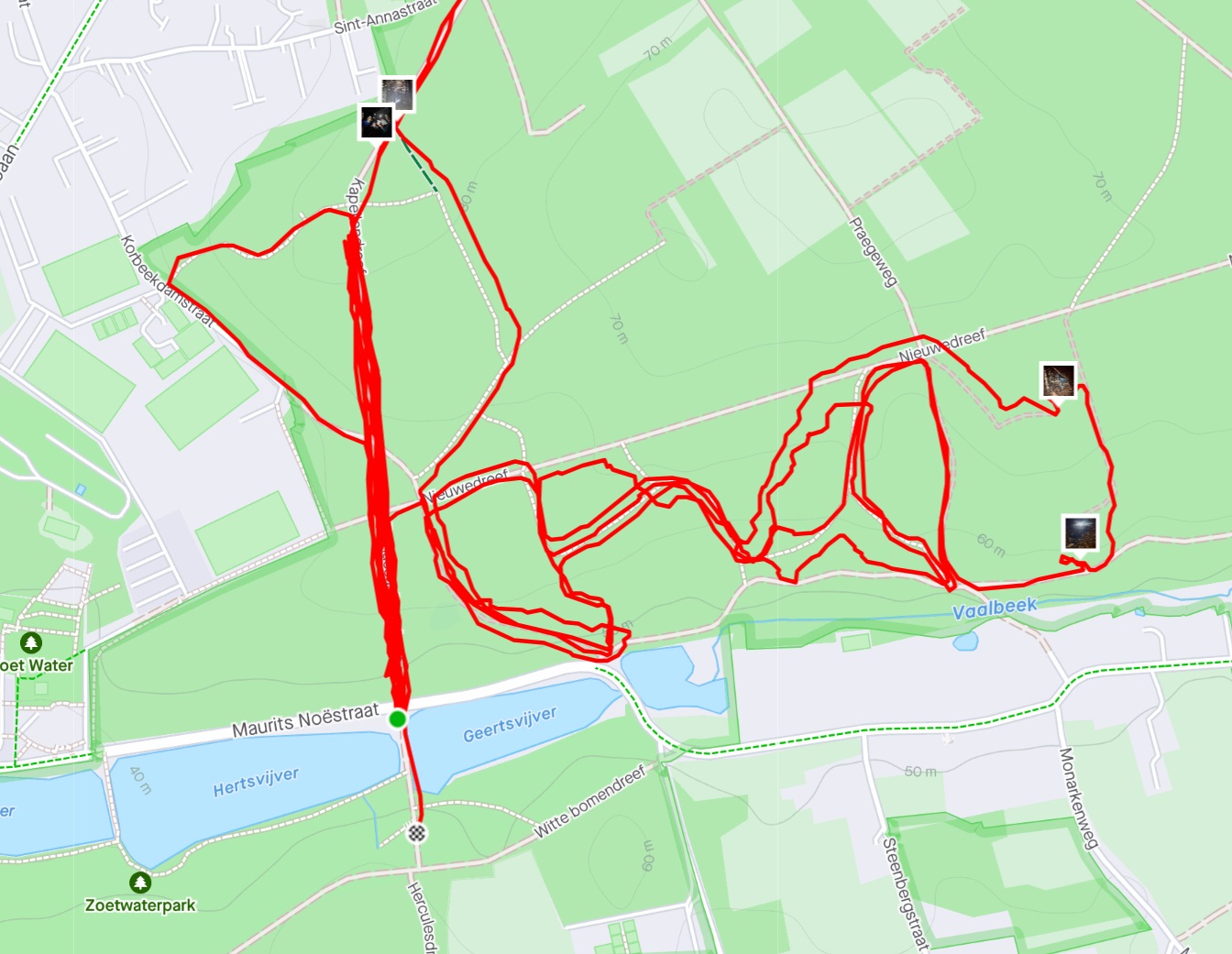 strava link
