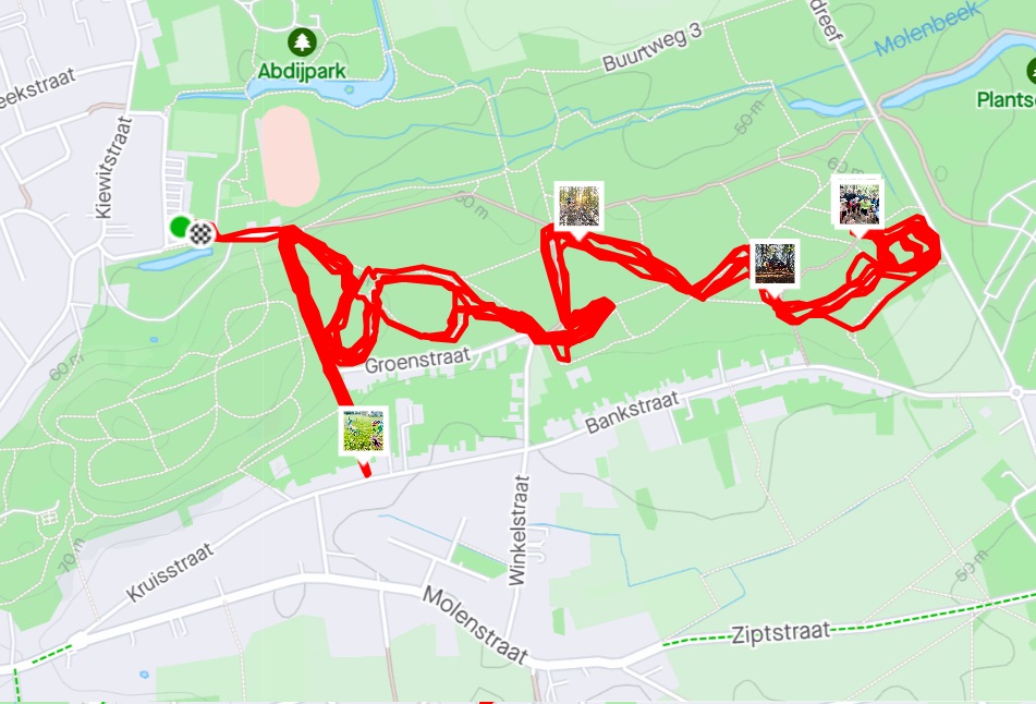 strava link