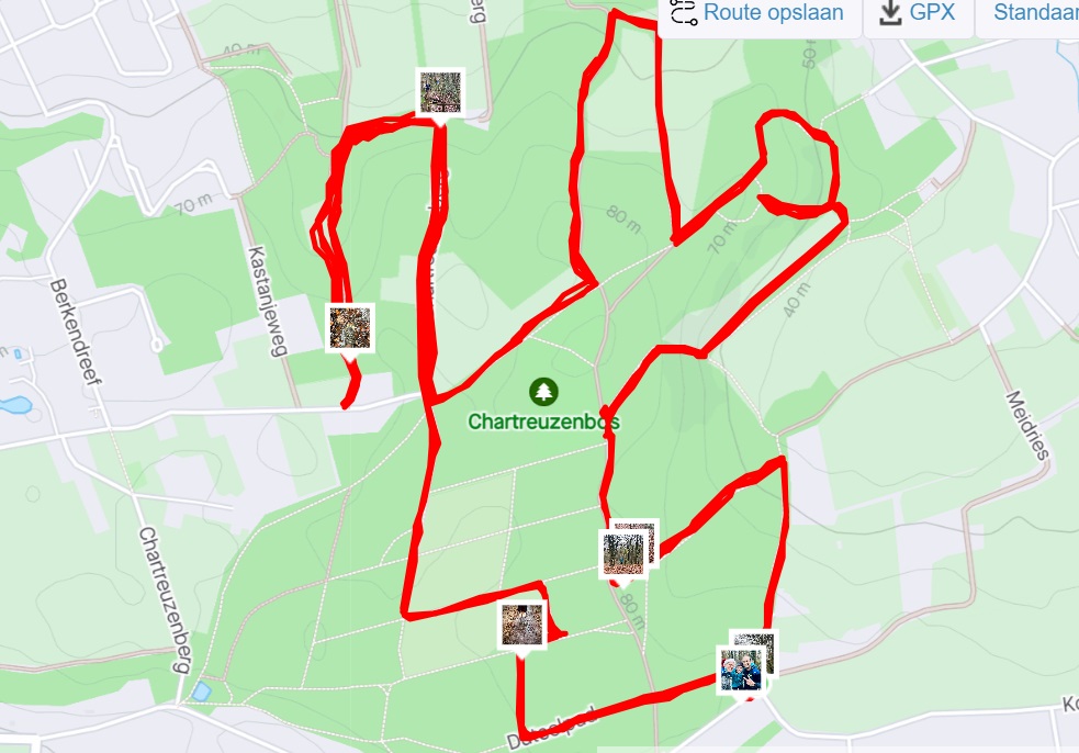 strava link